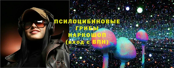 хмурый Алексин
