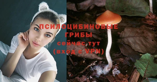 мдпв Заводоуковск