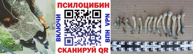 Псилоцибиновые грибы Psilocybine cubensis  сайты даркнета как зайти  Отрадная  как найти наркотики 
