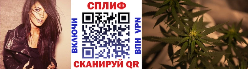 Каннабис MAZAR Отрадная